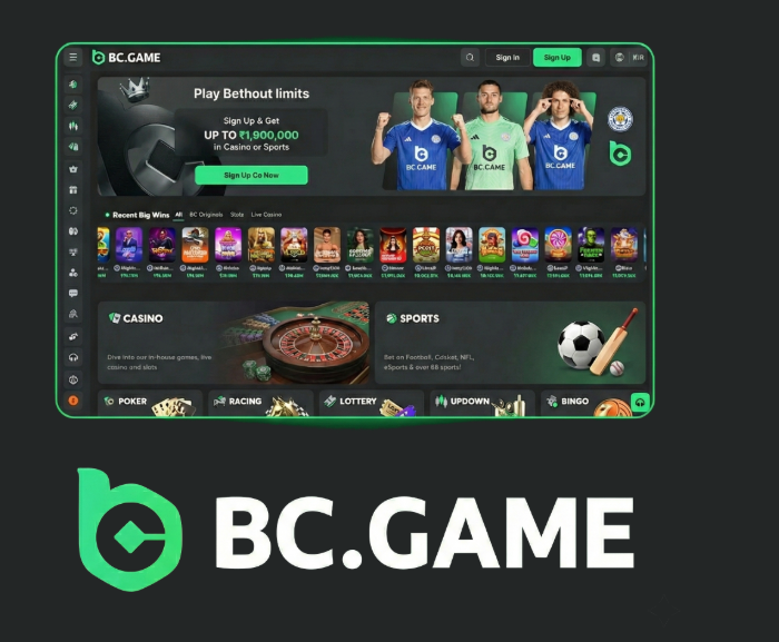 Understanding the BC.Game Login Process A Complete Guide -262379135